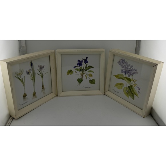 Marjolein Bastin Other - Marjolein Bastin White Botanical Flower Watercolor Shadowbox Set of 3